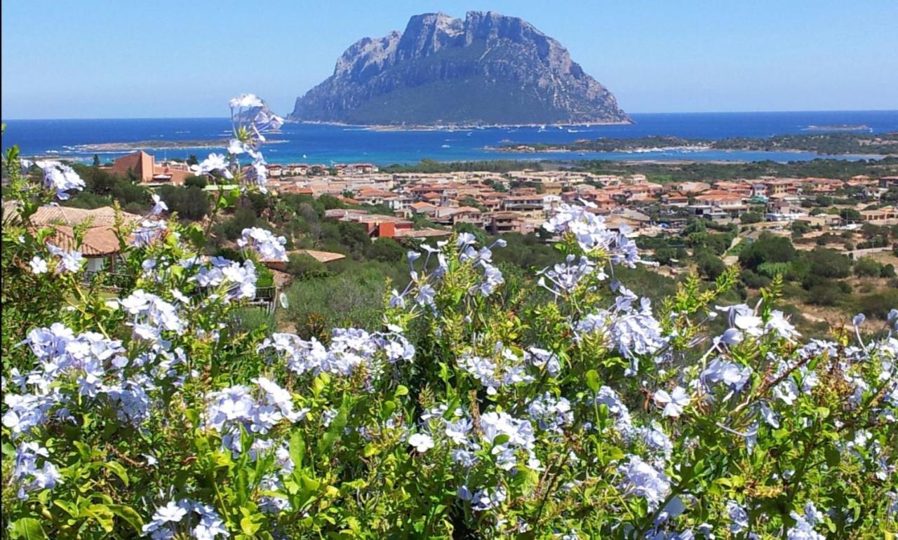 Le Case Del Mare Porto San Paolo  Exterior photo