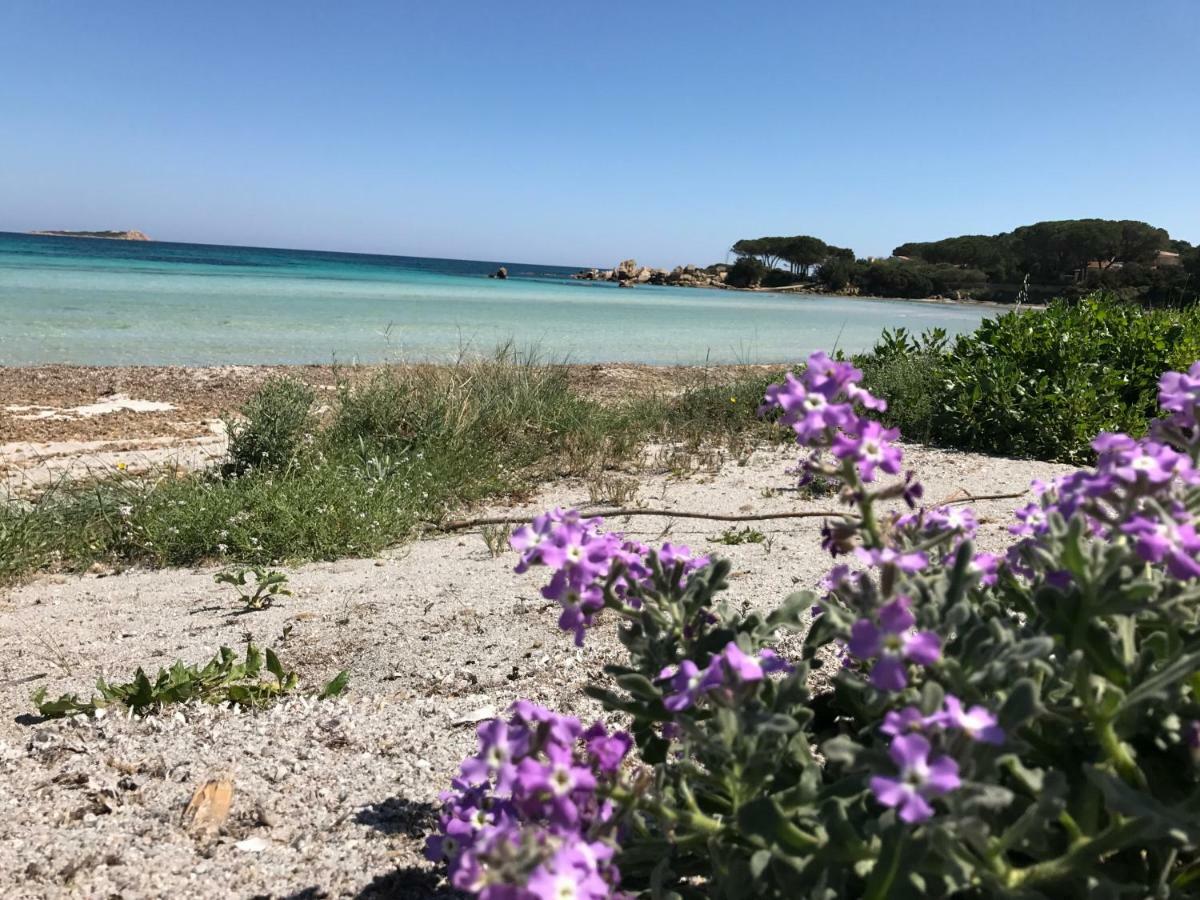 Le Case Del Mare Porto San Paolo  Exterior photo